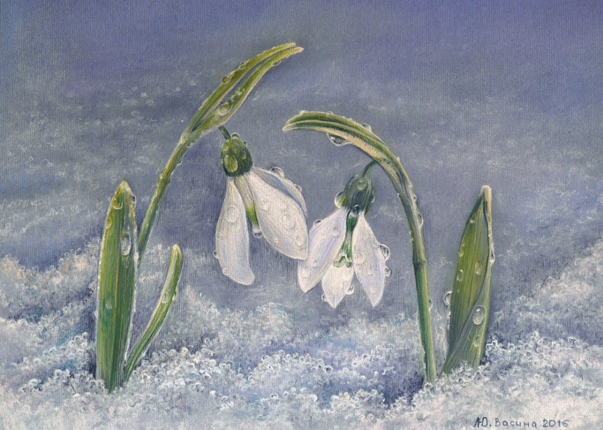 Подснежники на окна в детском саду