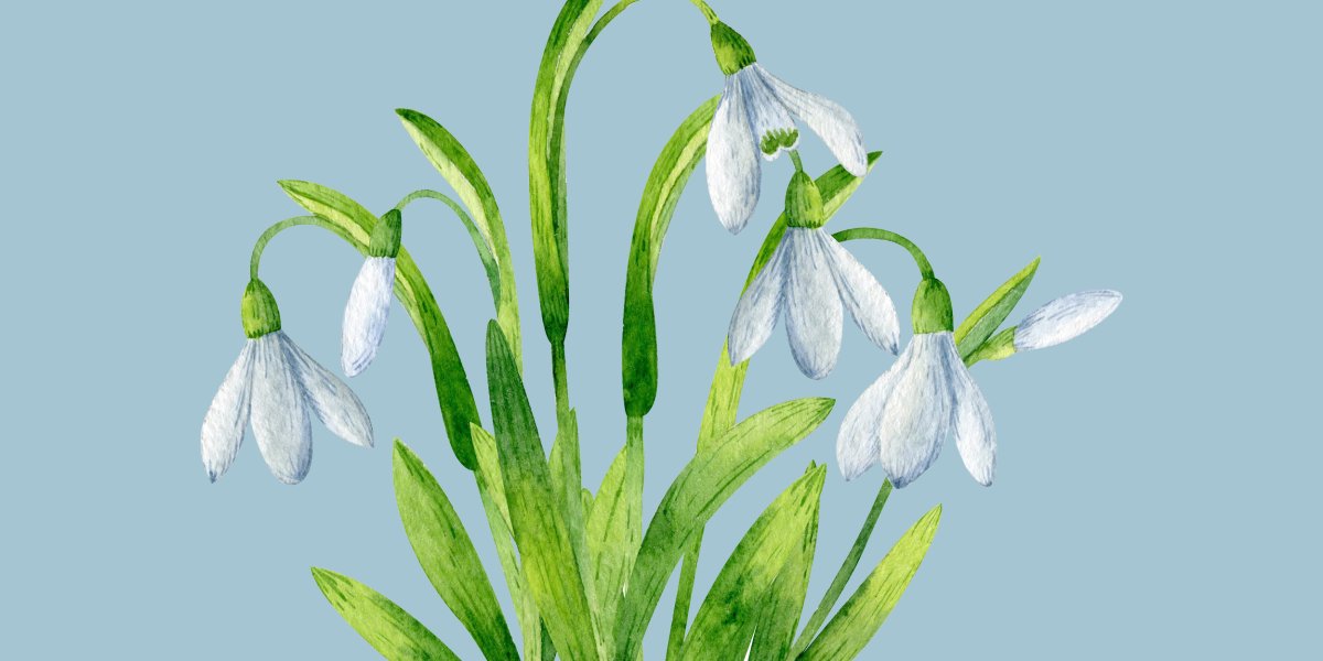 Подснежники живопись гуашью