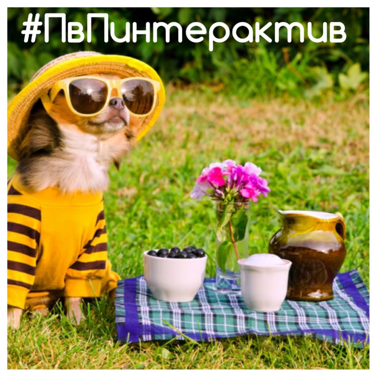 Хороших выходных открытки