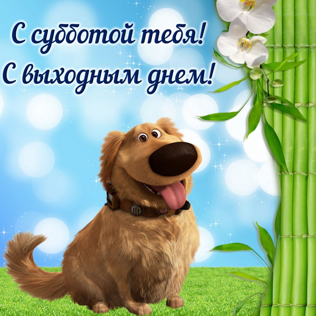 Хороших выходных