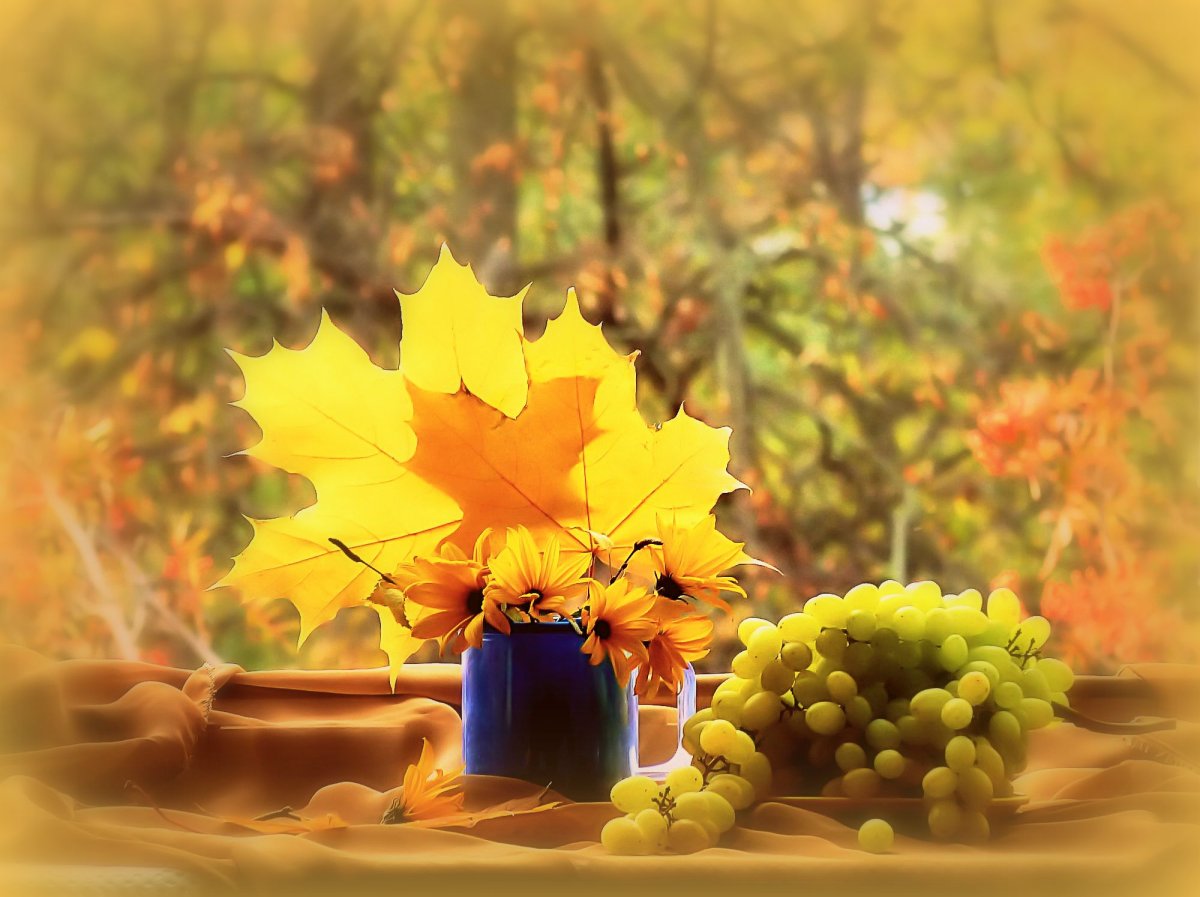 Дождливое утро осени