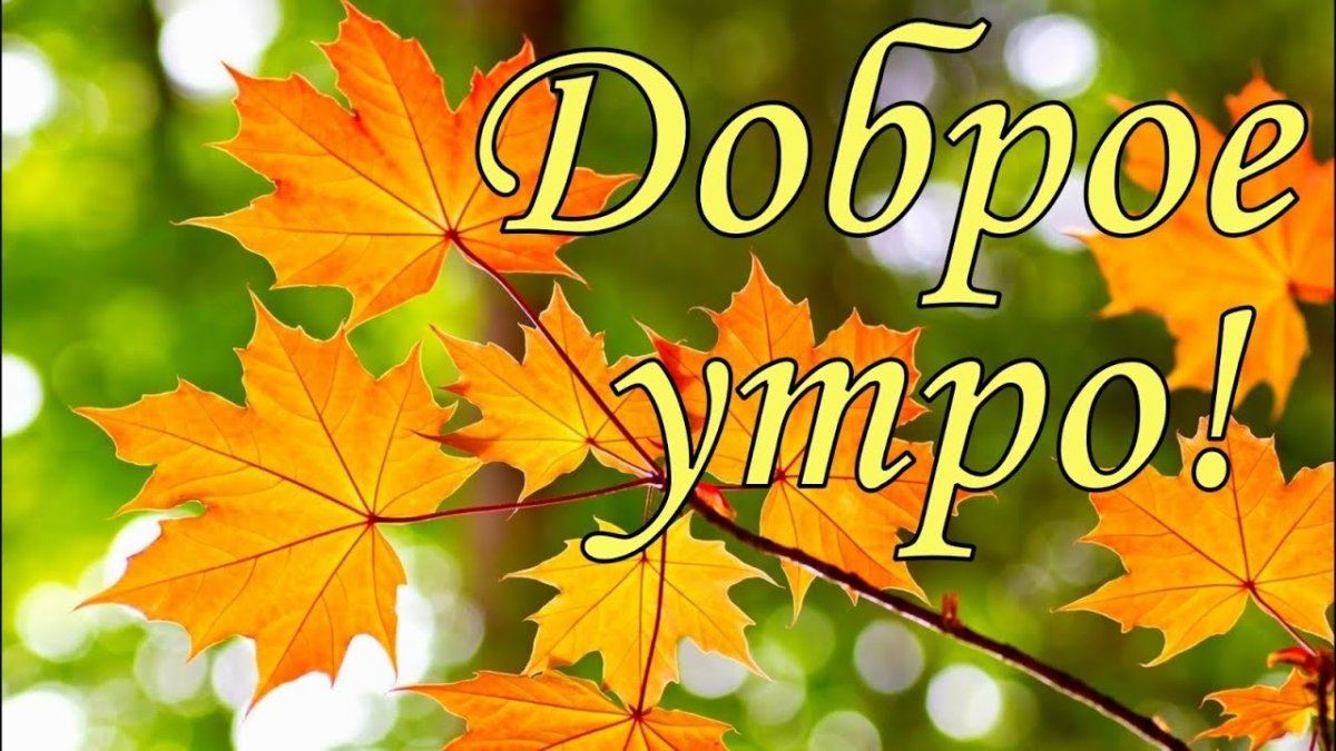 Доброе осеннее утро