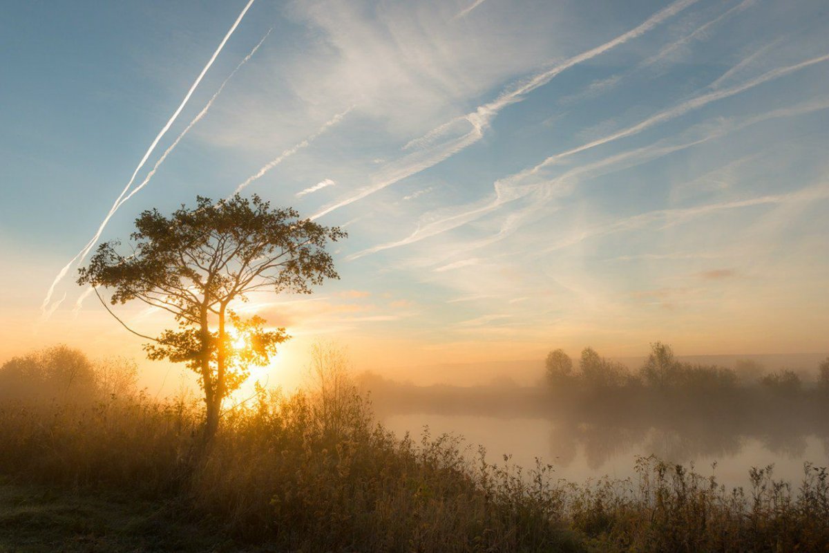 Утренняя звезда природа