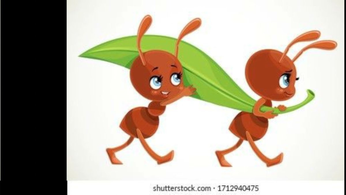 Муравей силуэт для детей
