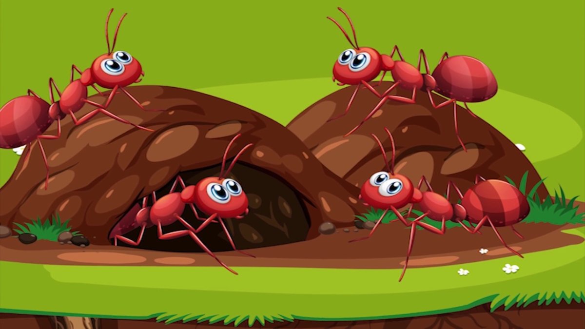 Муравей на двух лапах