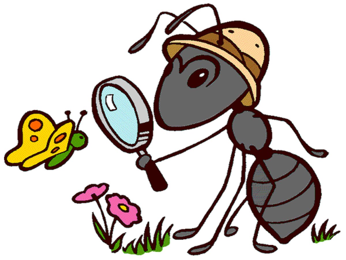 Муравей с листом для детей