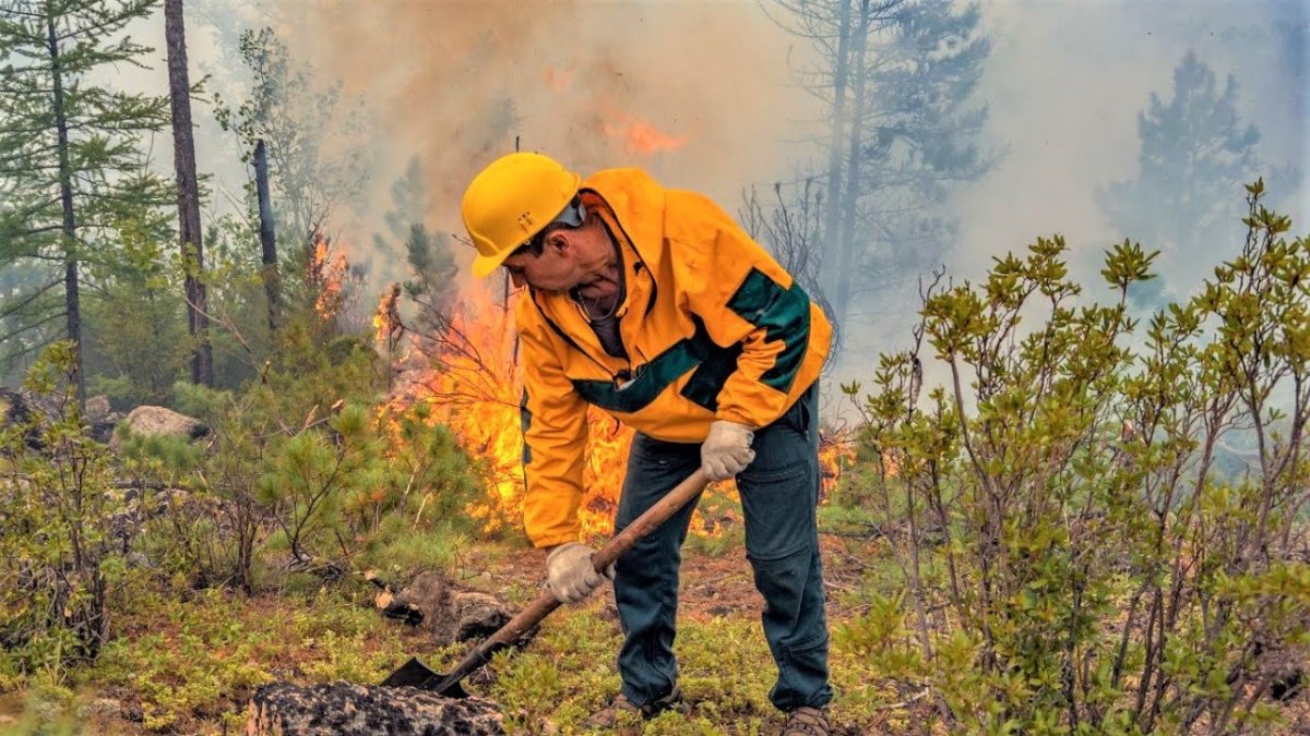 Сакурадзима вулкан извержение 1914