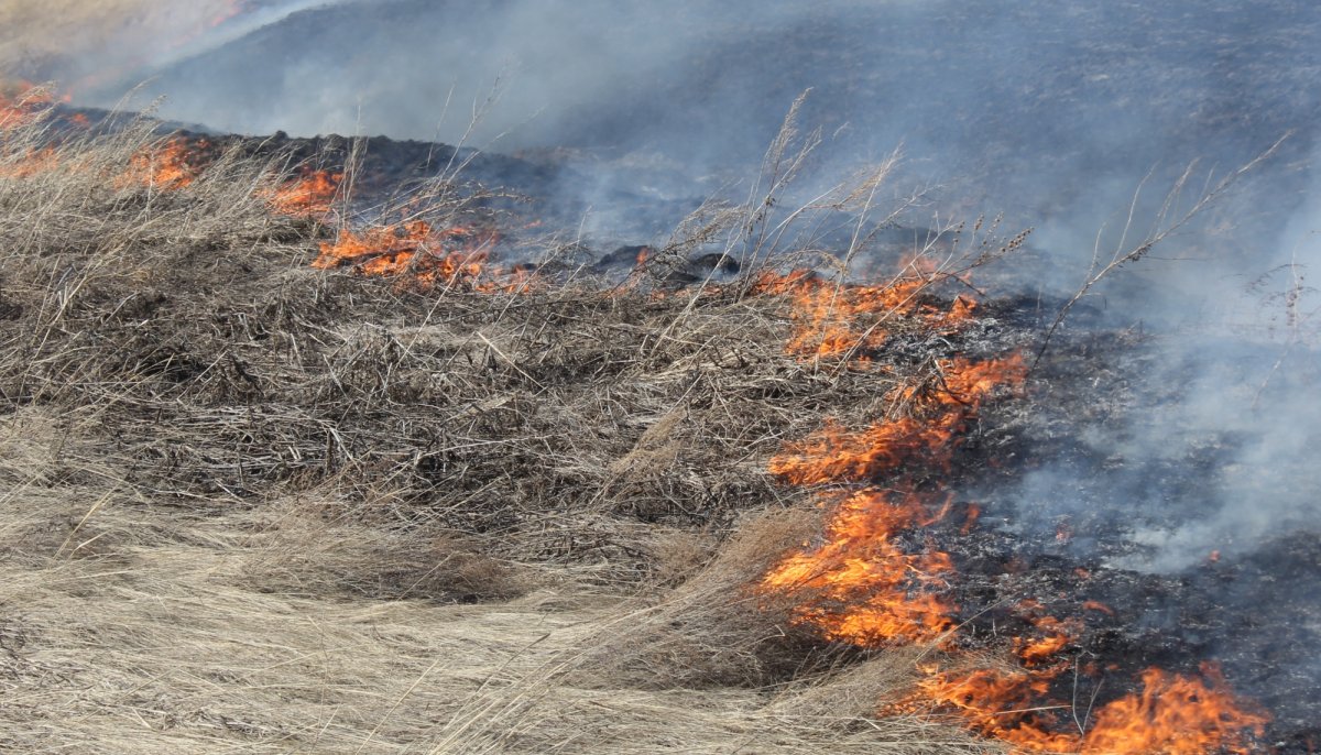 Стивен Винтер шторм