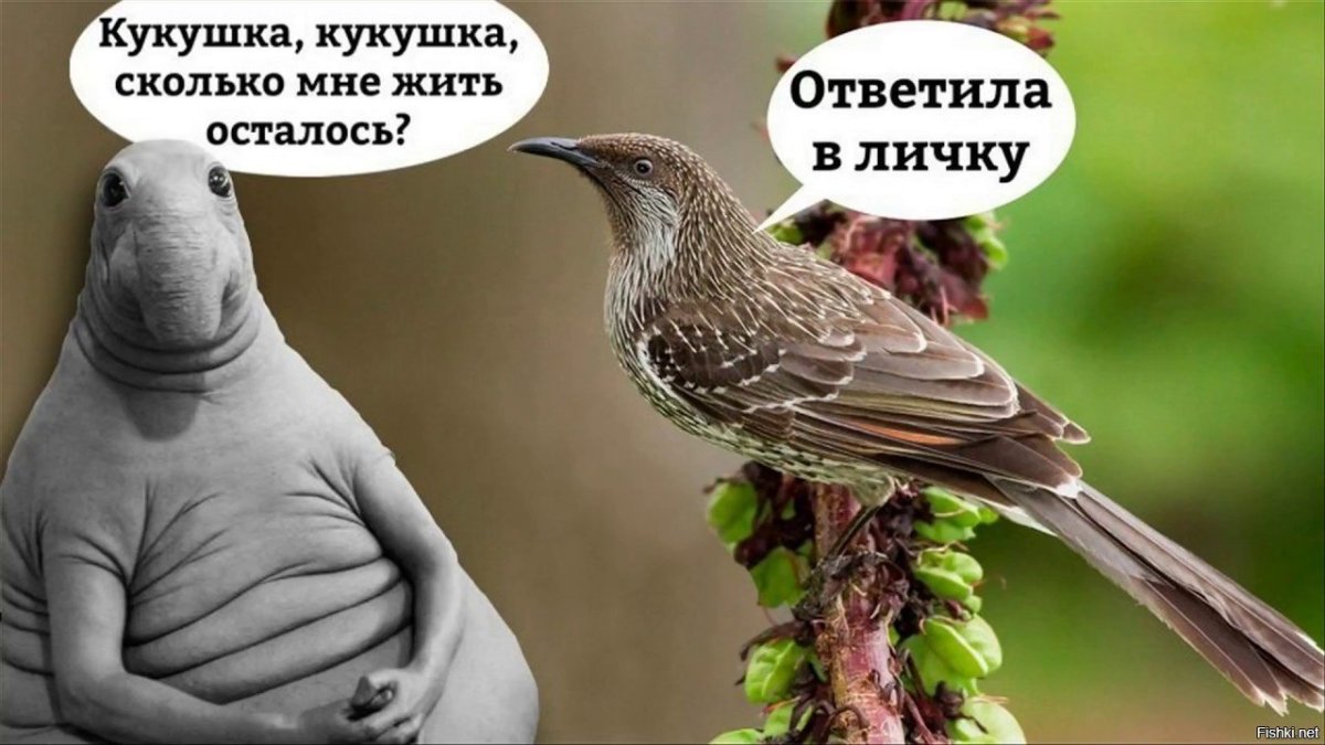 Художник Эрик Шеферд