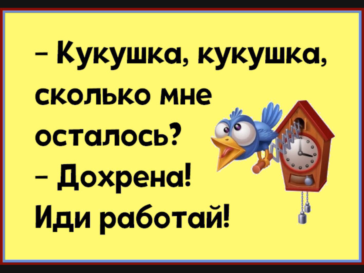 Кукушонок прикол