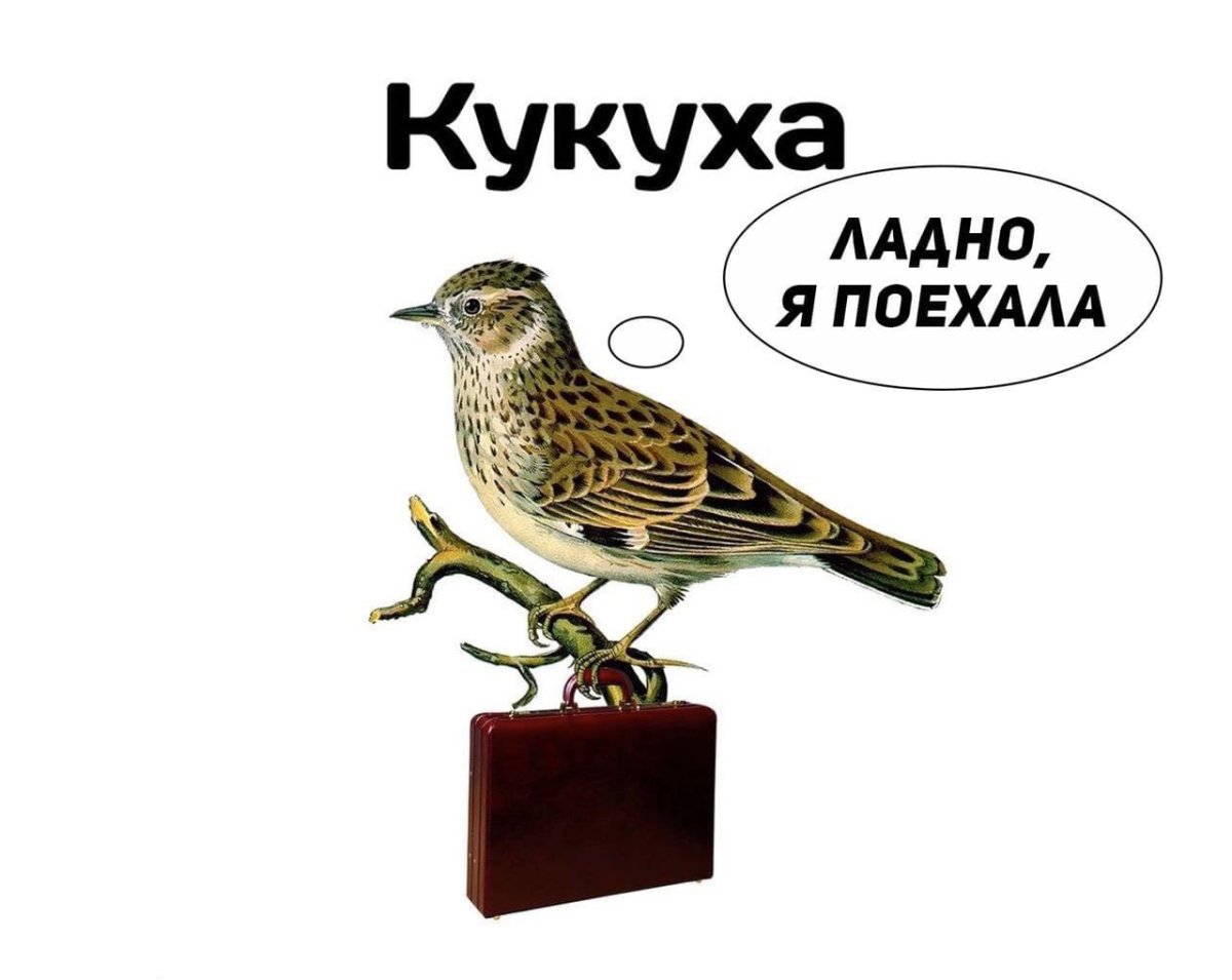 Часы с кукушкой шарж