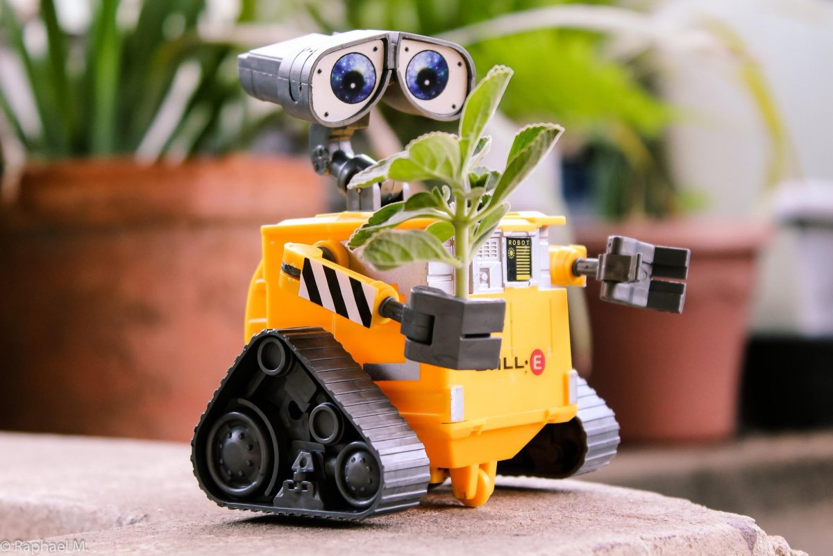 Уолли робот