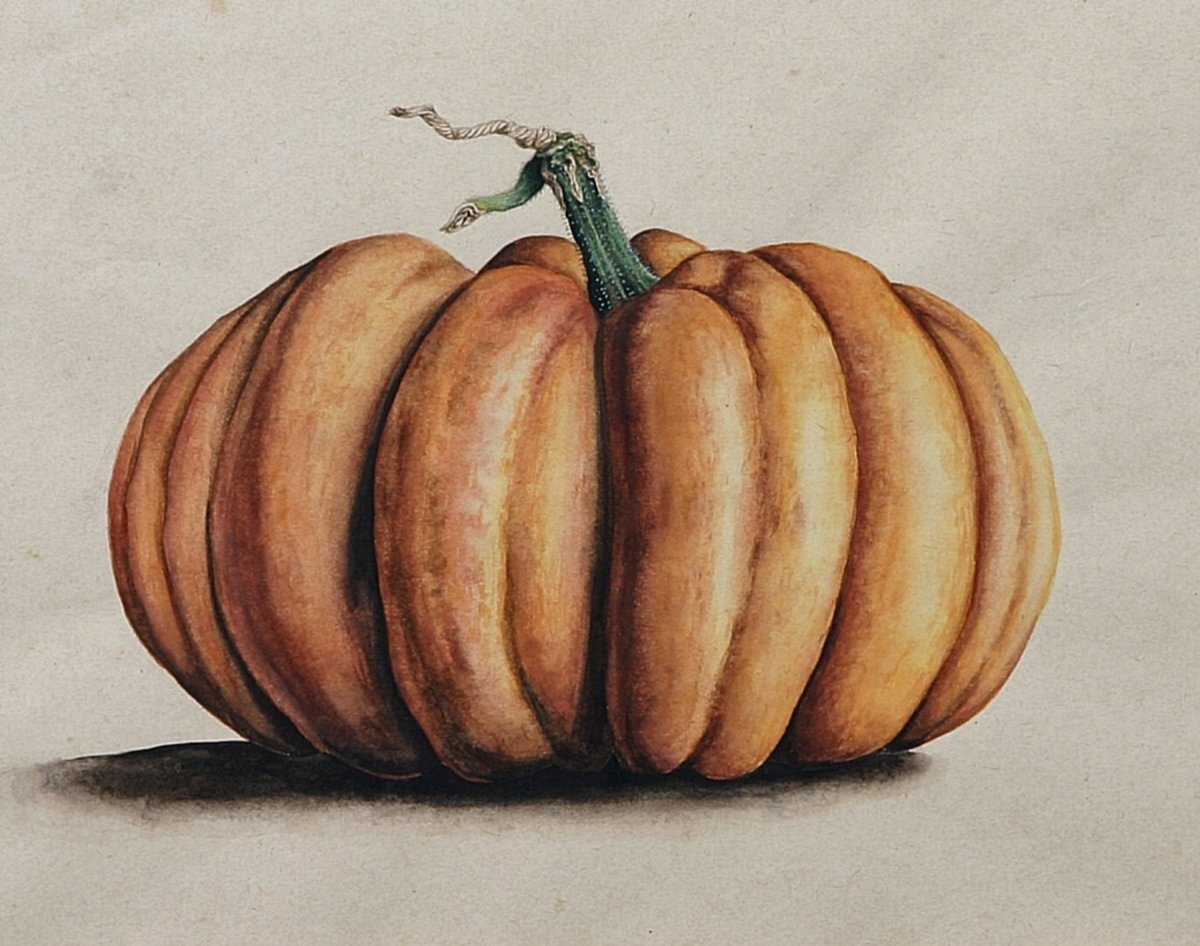 Веселые овощи тыква