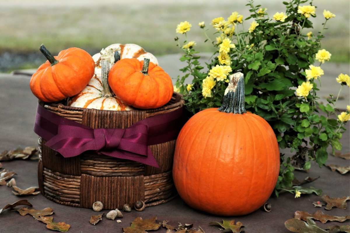 Тыква для детей