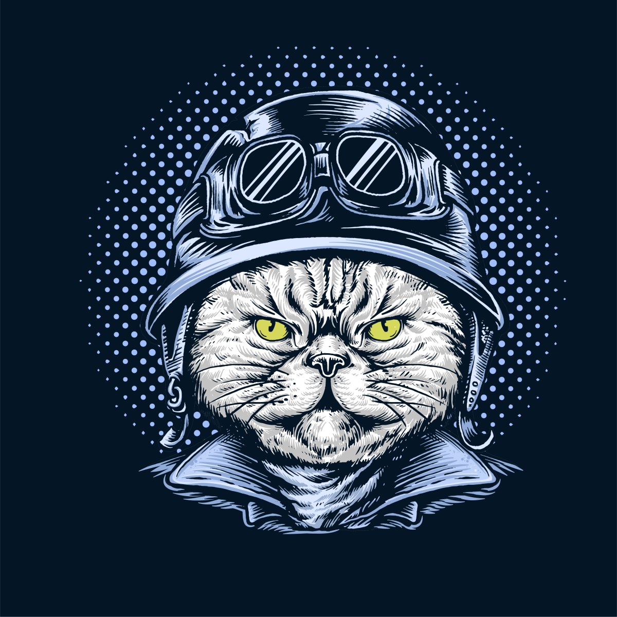 Кот в каске на мотоцикле