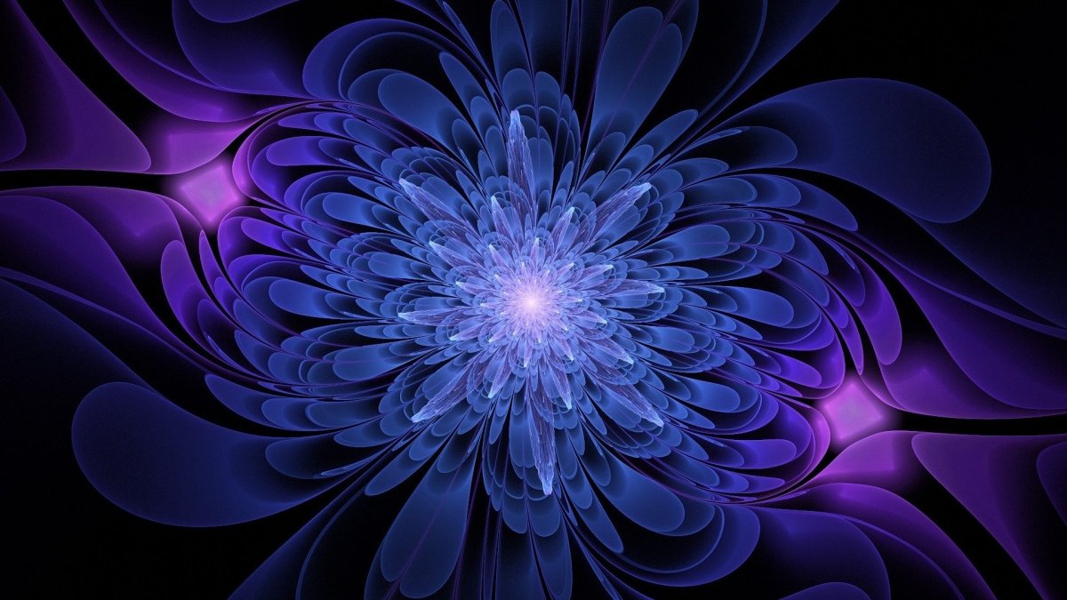 Сине фиолетовые цветы