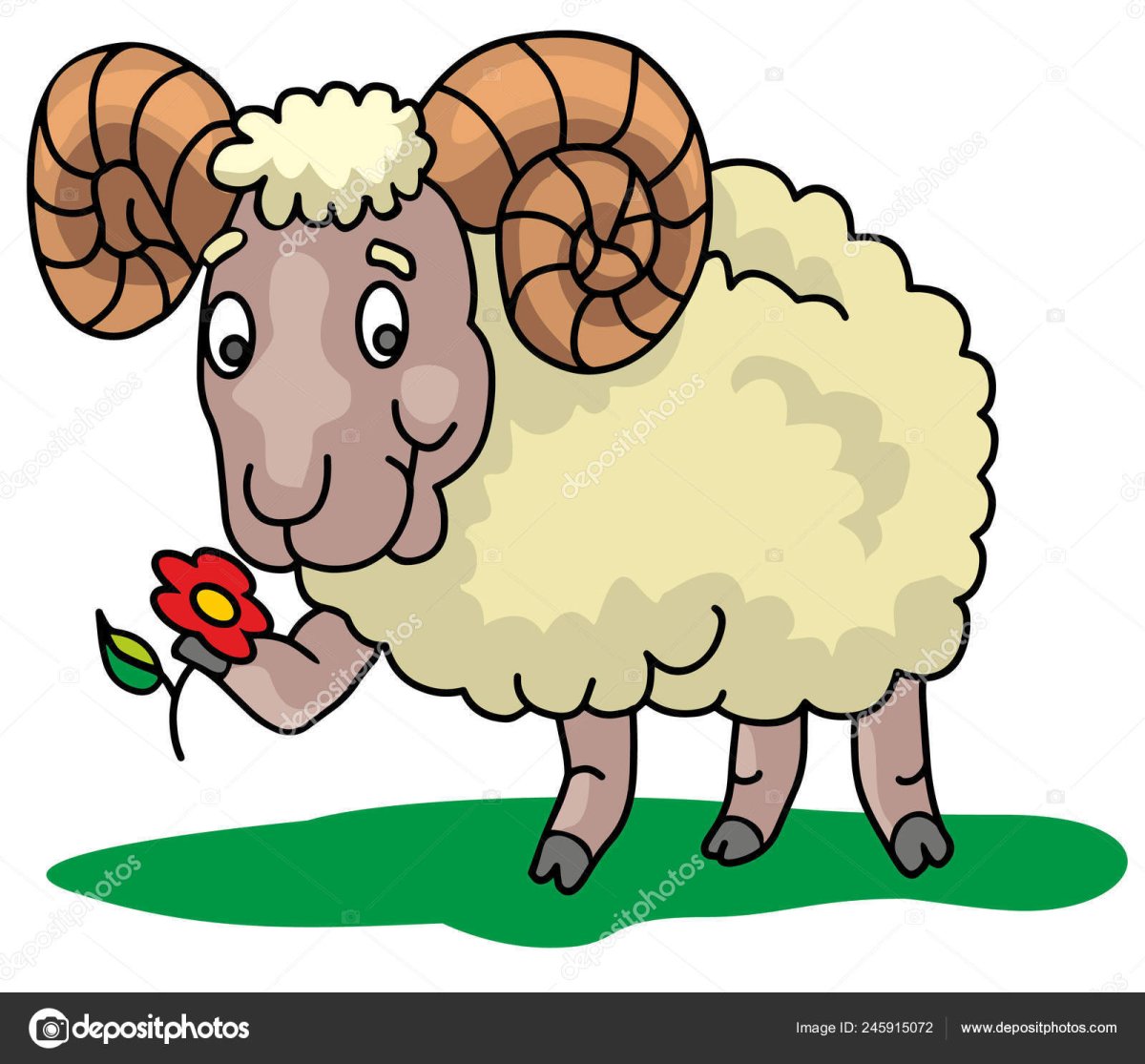 Животные для малышей барашек