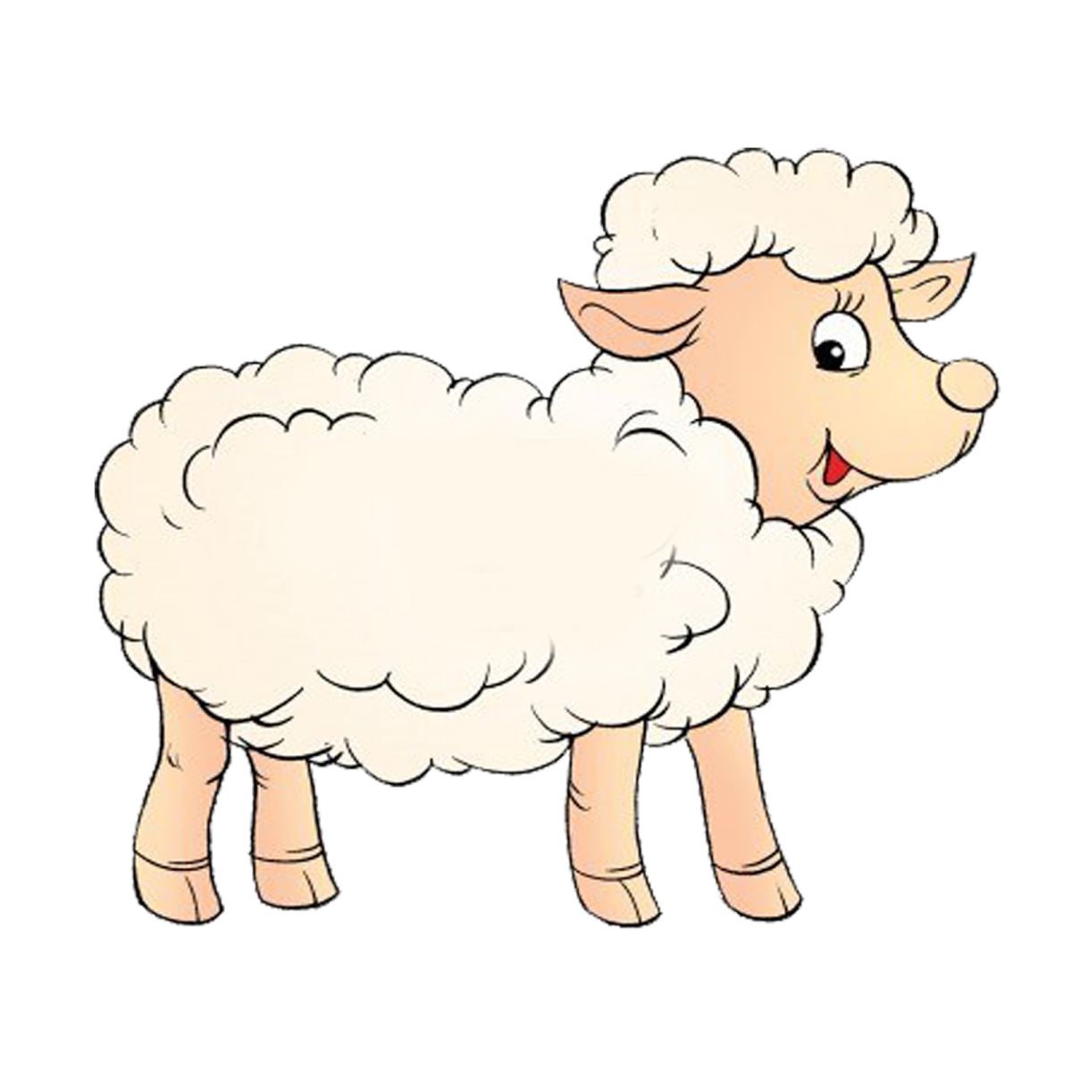 Овечка сбоку