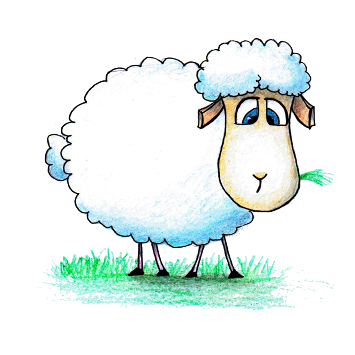 Овечки мультяшные