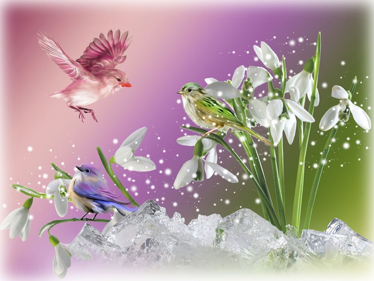 Открытка «Весна»