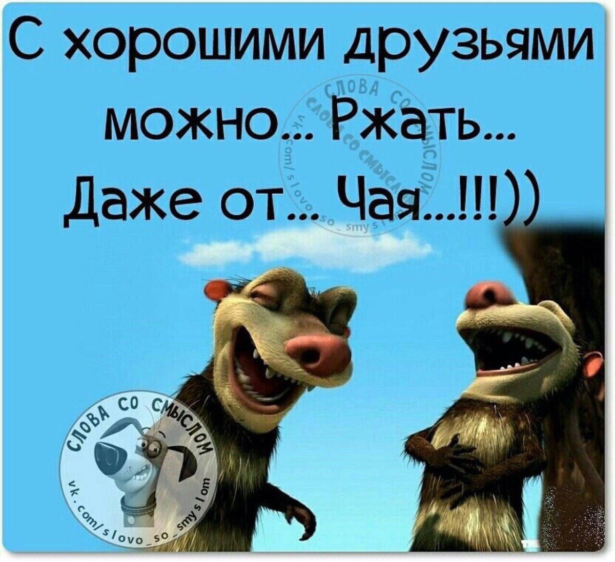 Смешные цитата про дрцзей