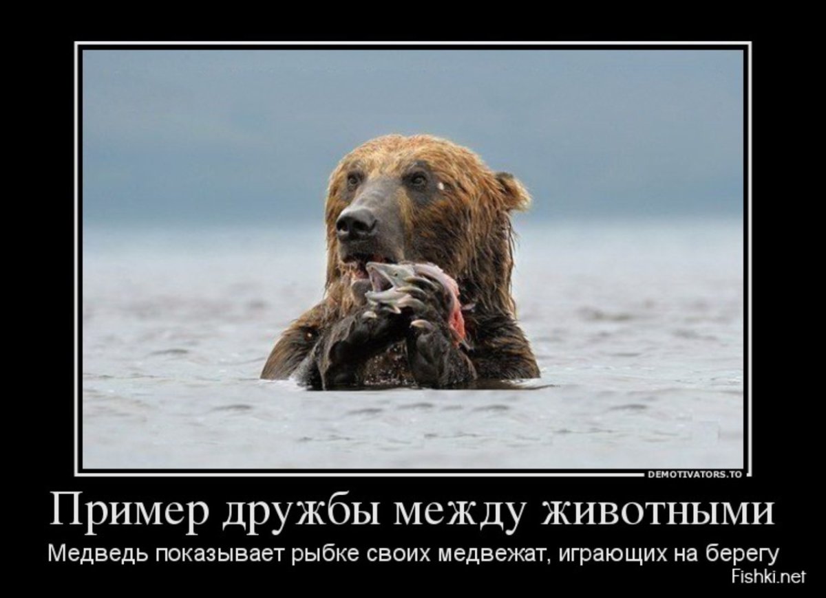 Смешные аватарки для группы с друзьями