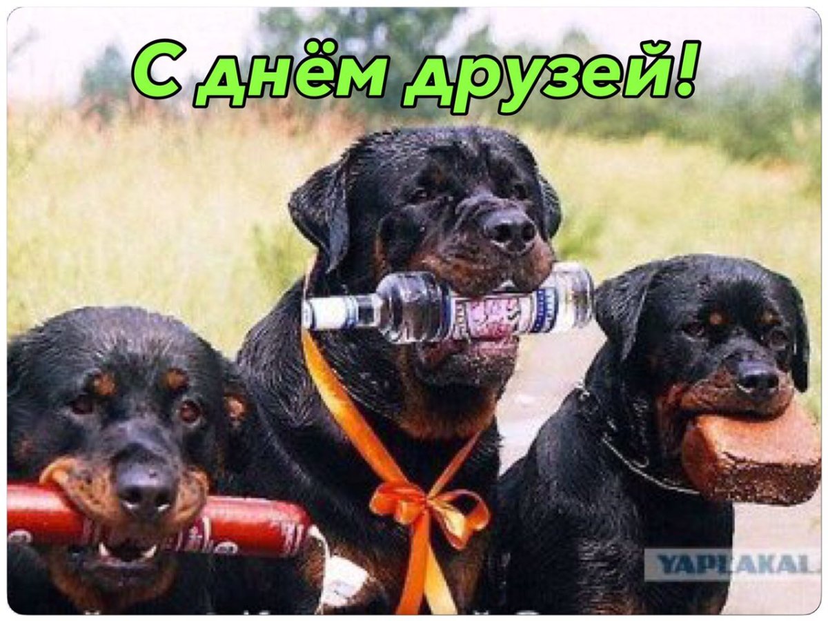 С днем друзей прикольные