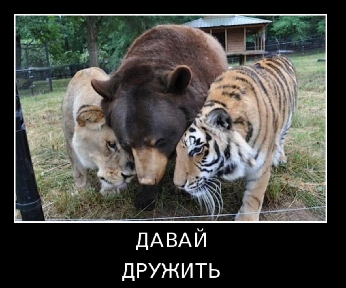 Картинки с Цитатами про дружбу