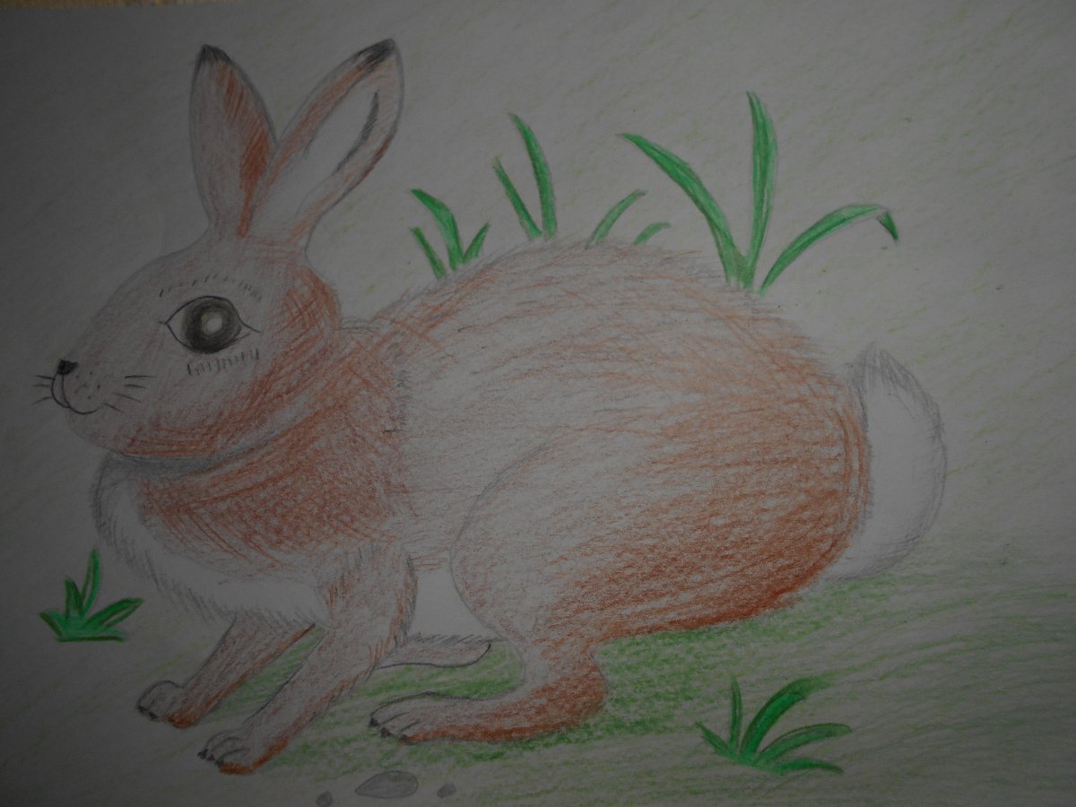 Паустовский заячьи лапы Ваня Малявин