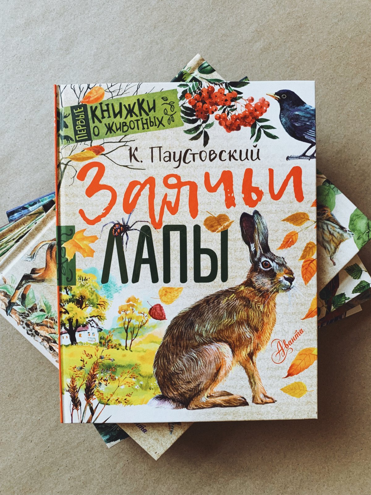 Паустовский заячьи лапы диафильм