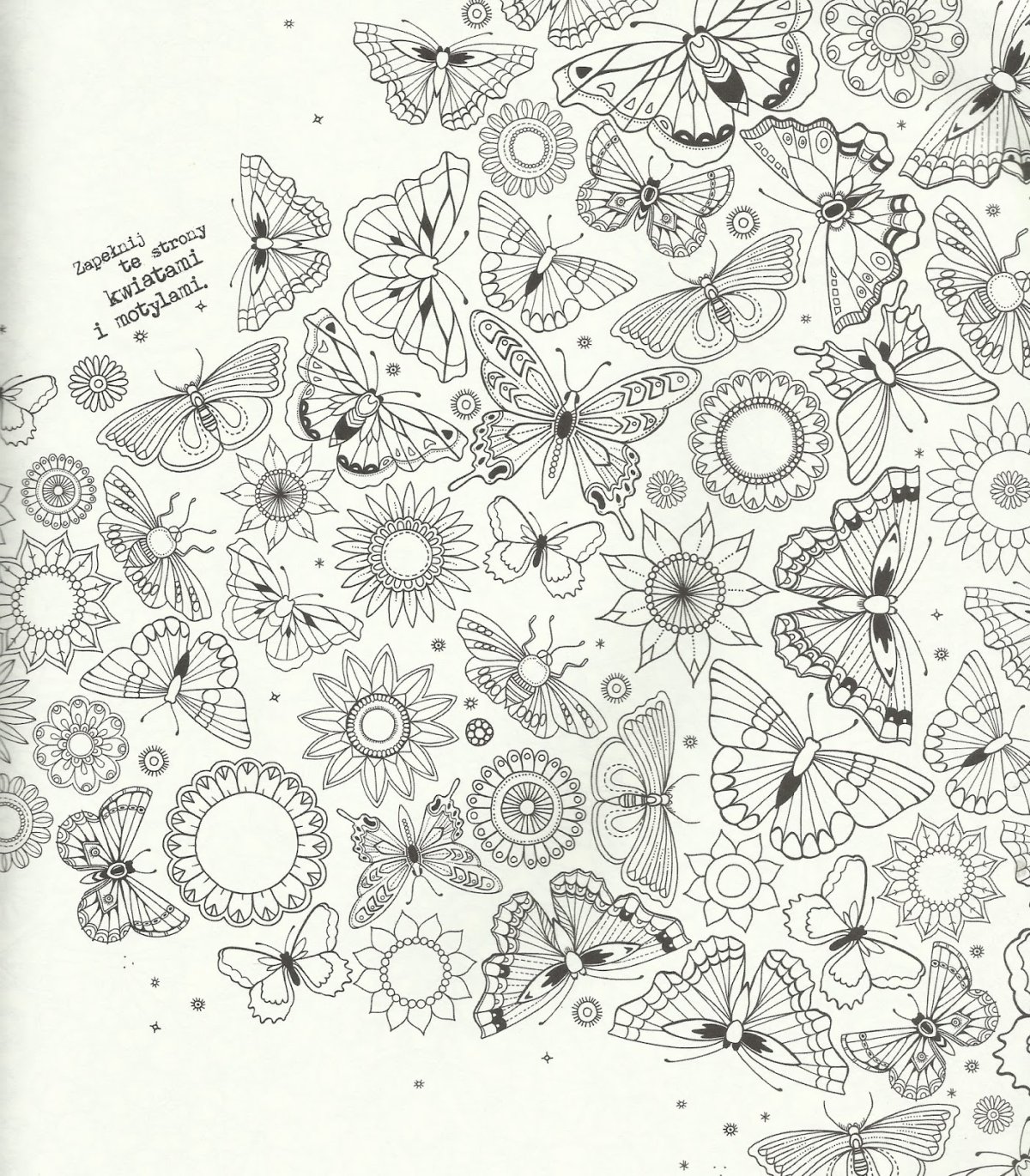 Раскраска антистресс цветы и бабочки сложные