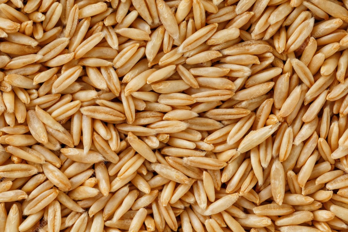 Овес текстура