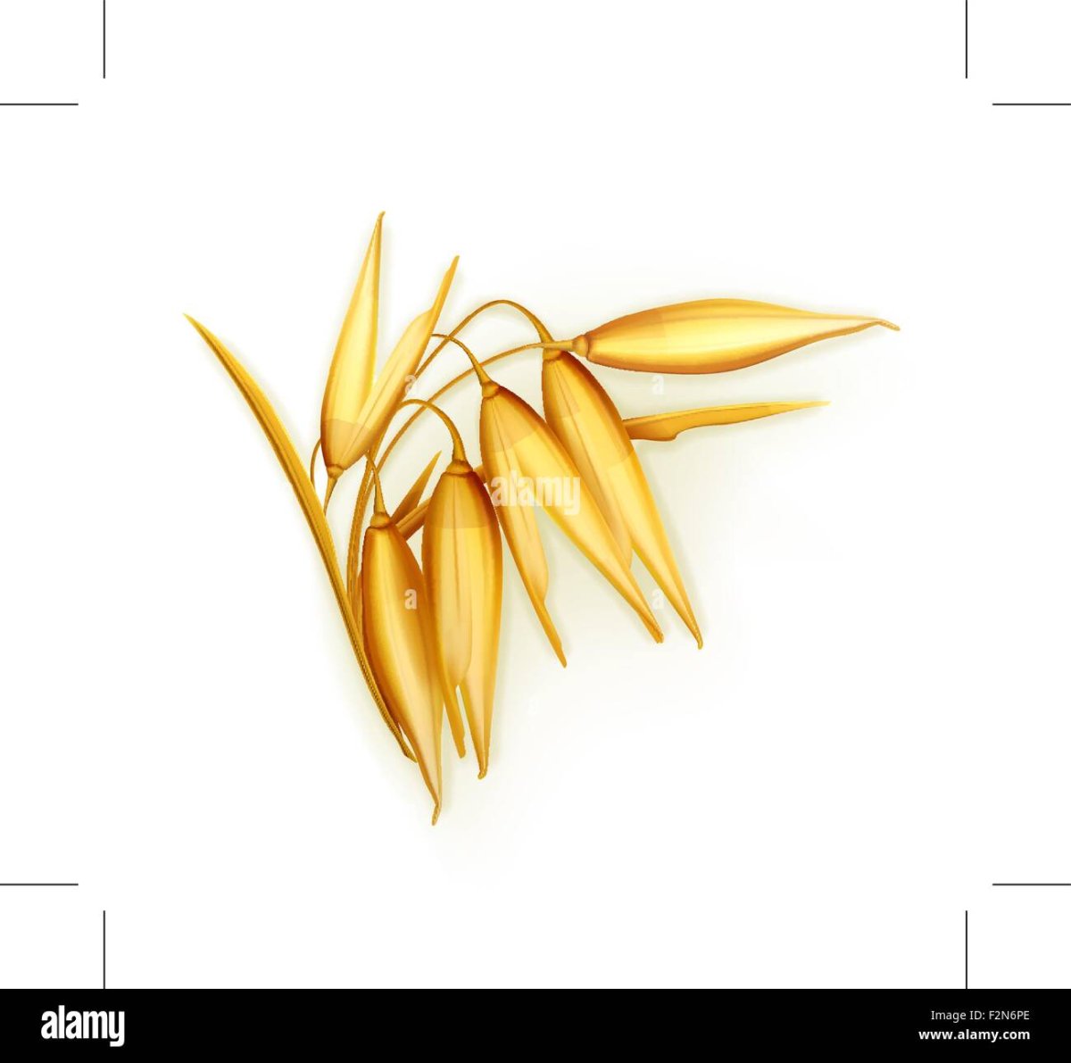 Овес значок вектор на прозрачном фоне