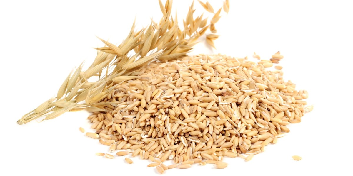 Овес лечебный