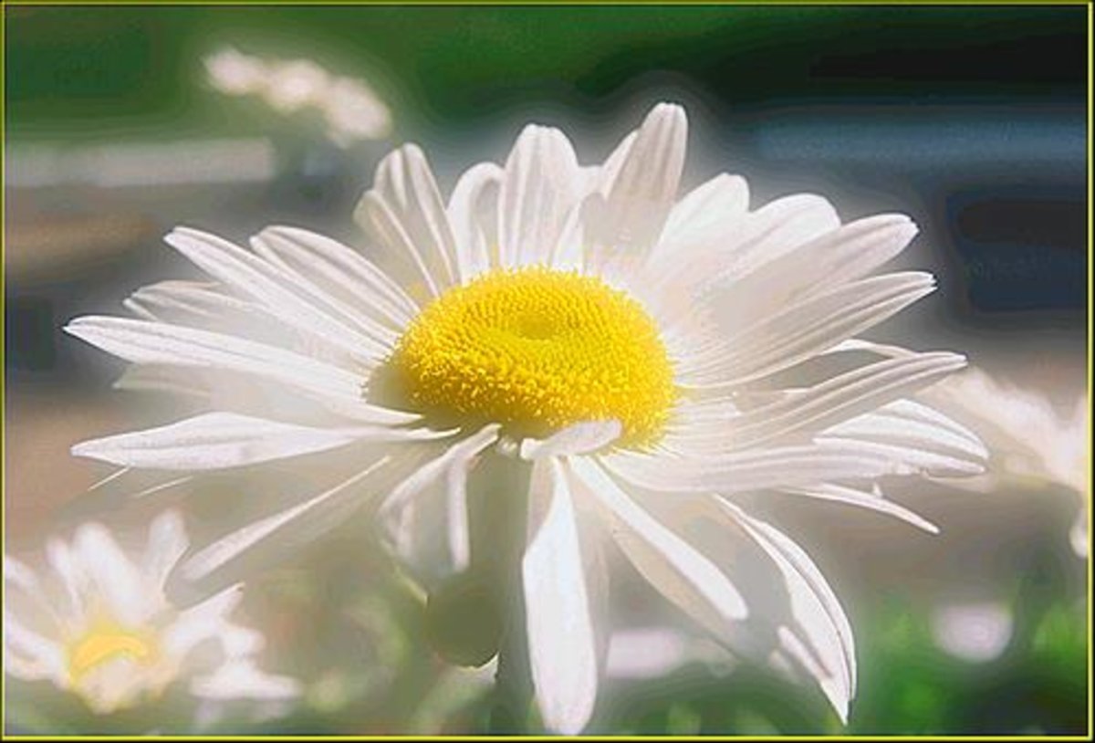 Открытки с добрым утром дочери