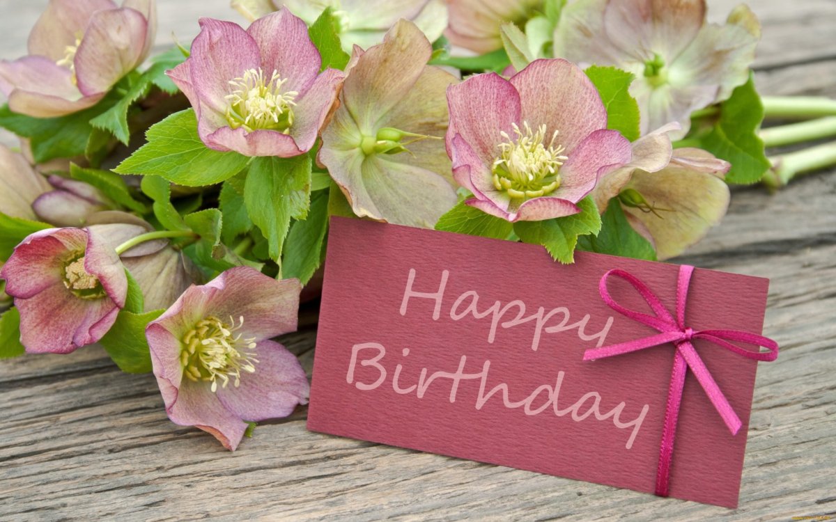 Поздравление с днем рождения эле