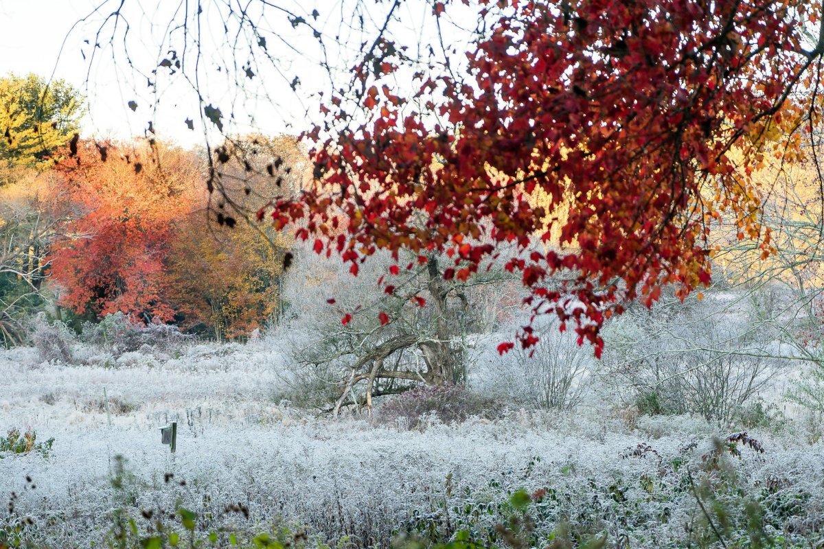 Поздняя осень фото