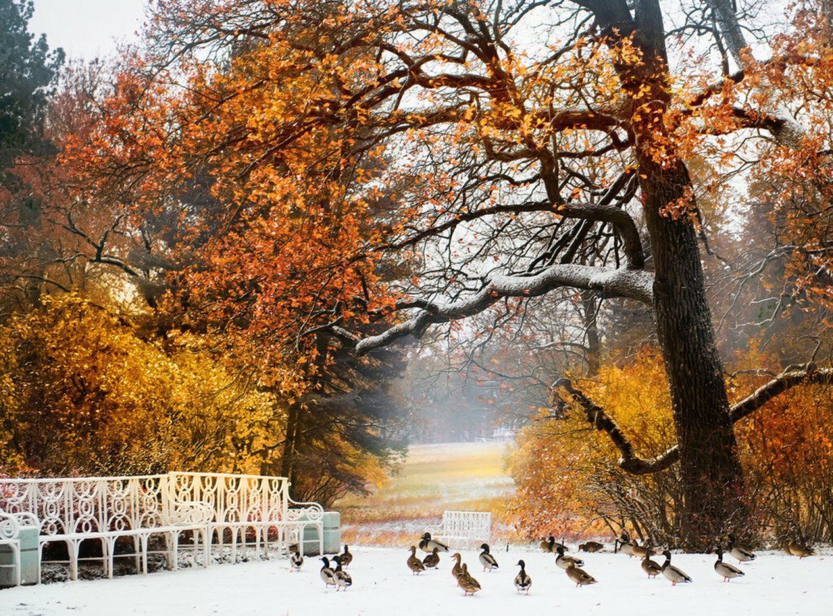 Ноябрь природа