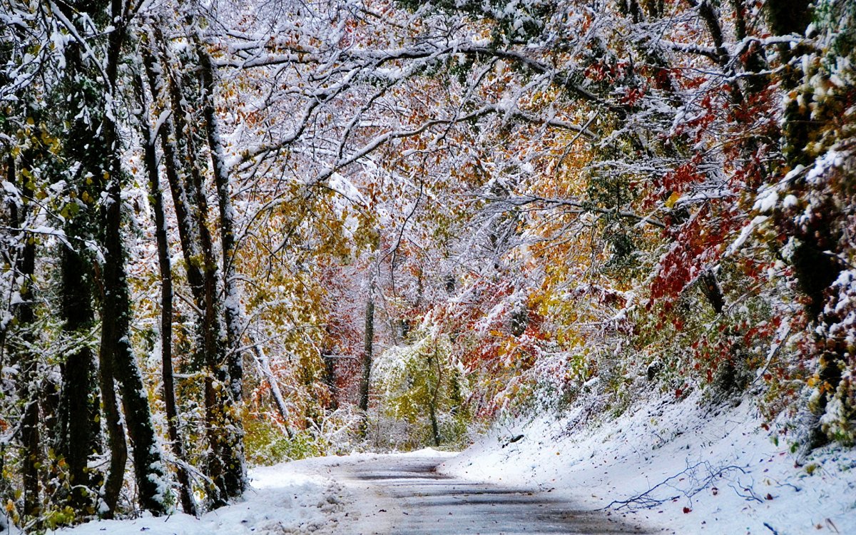 Первый снег