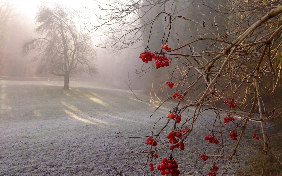 Поздняя осень