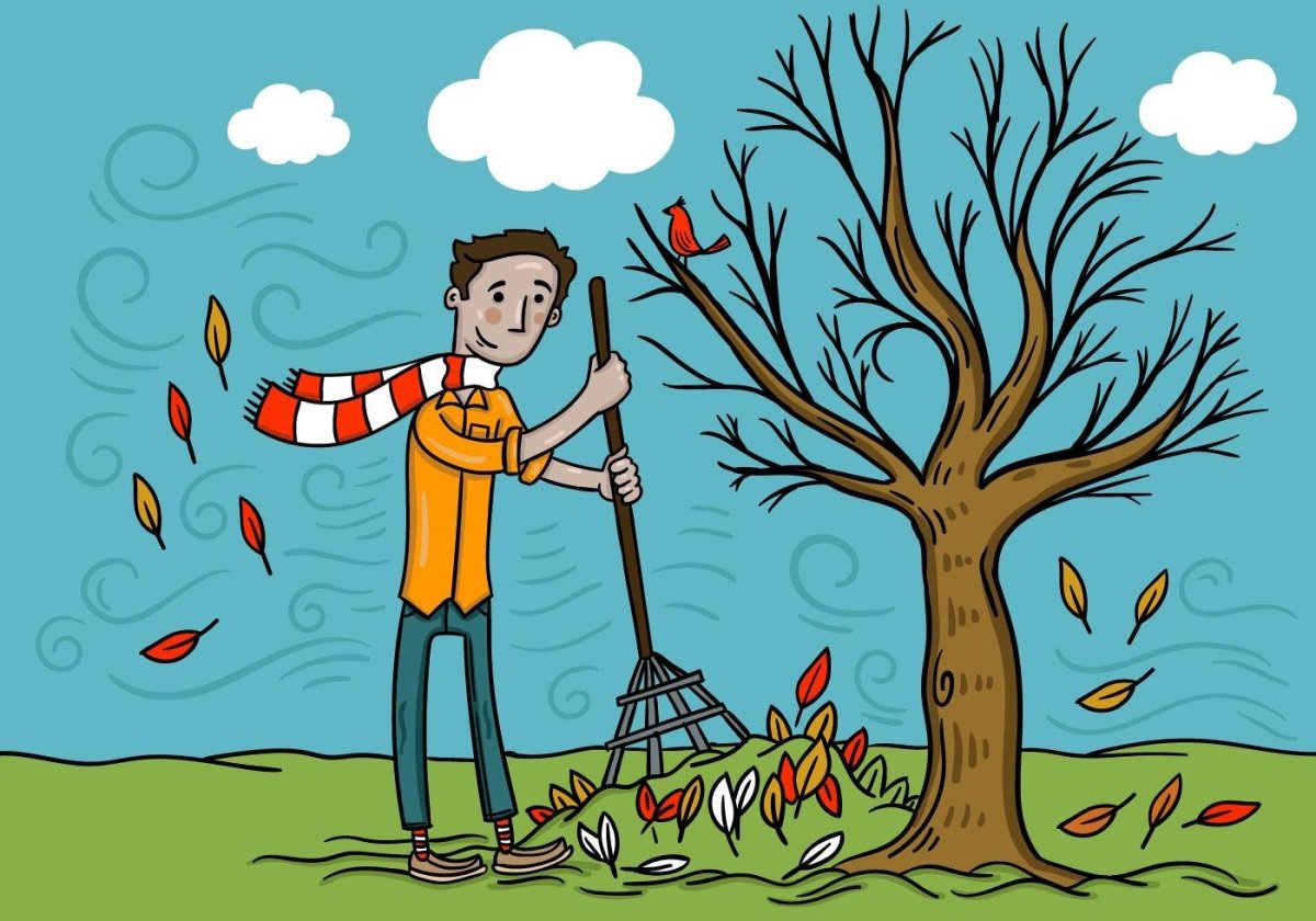 Руки грабли