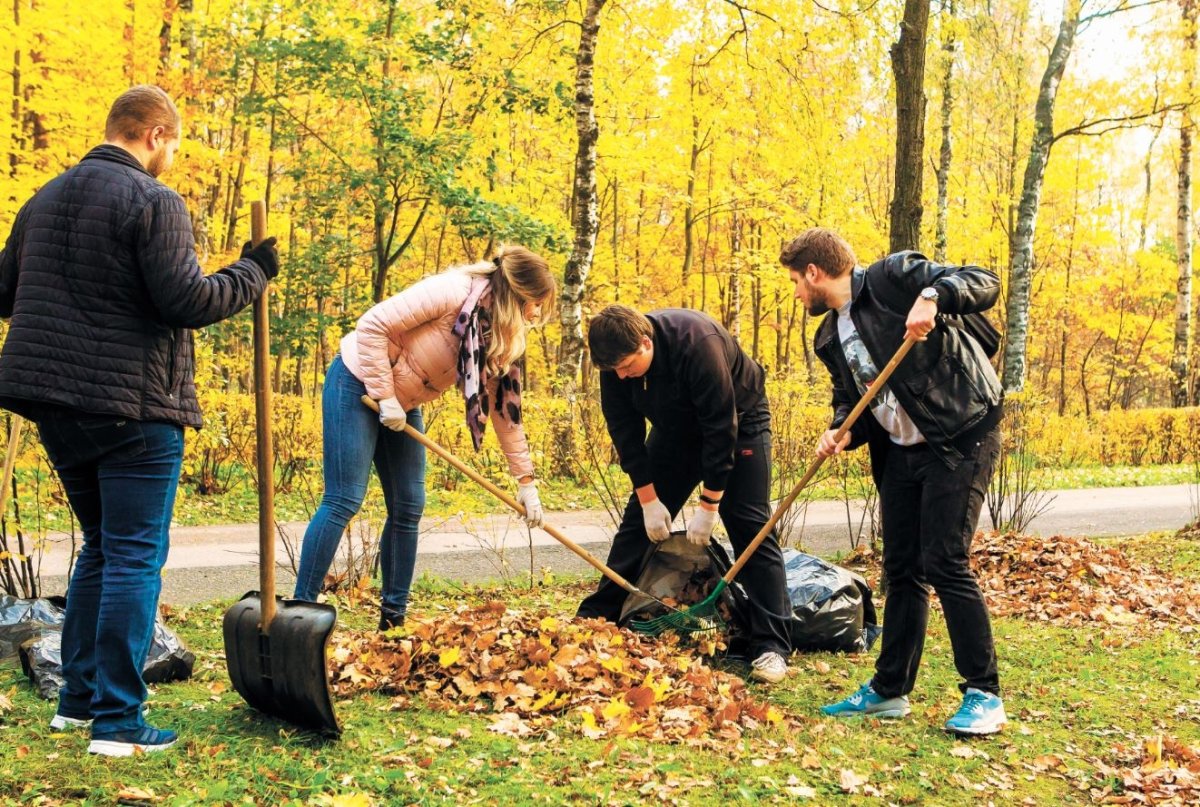 Уборка территории от мусора