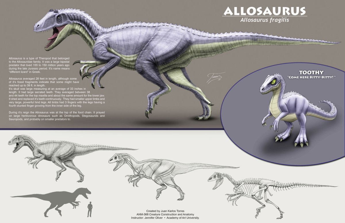 Allosaurus Reconstruction 2022