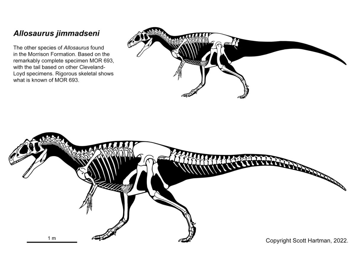 Mattel мир Юрского периода Аллозавр