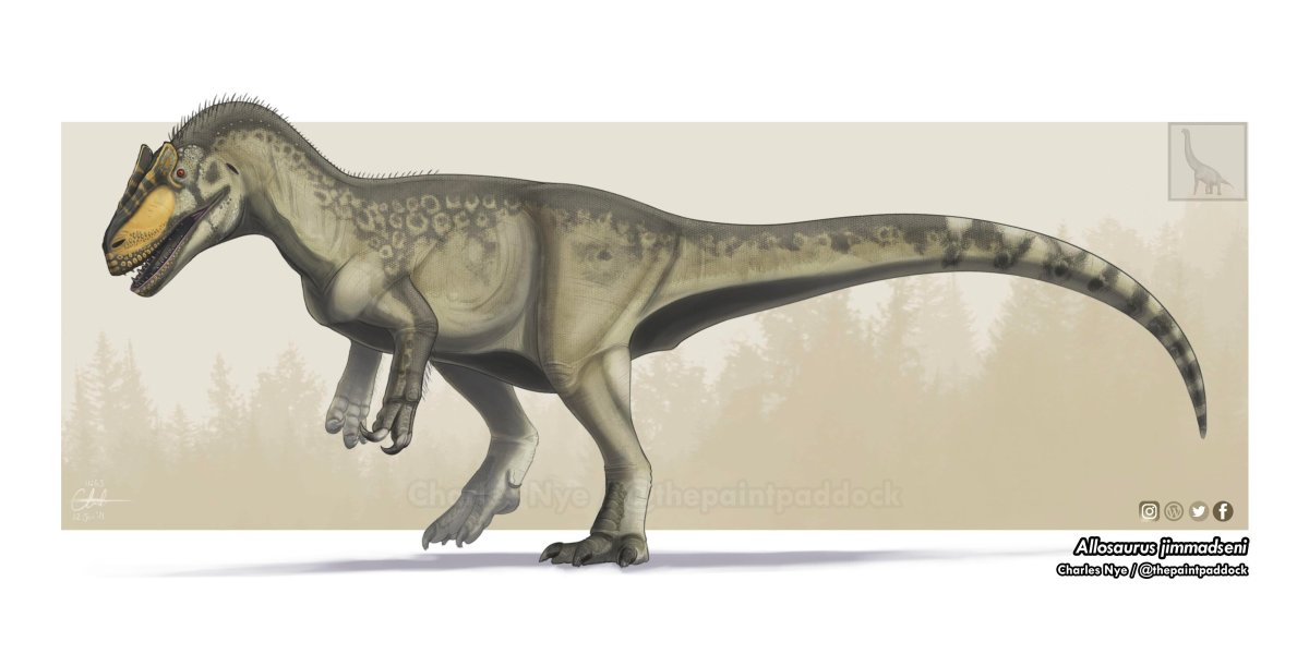 Динозавр Allosaurus jimmadseni