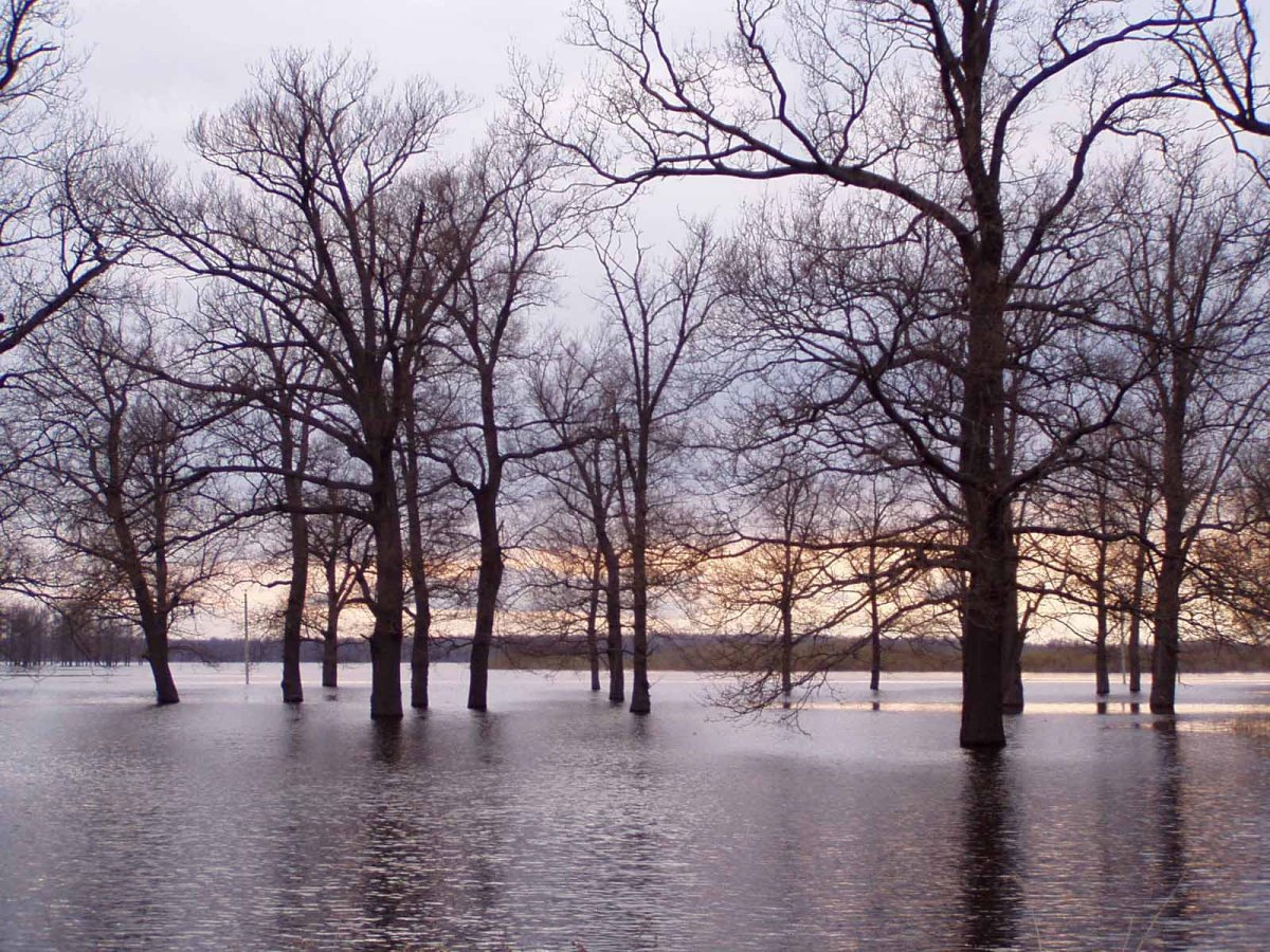 Разлив реки весной