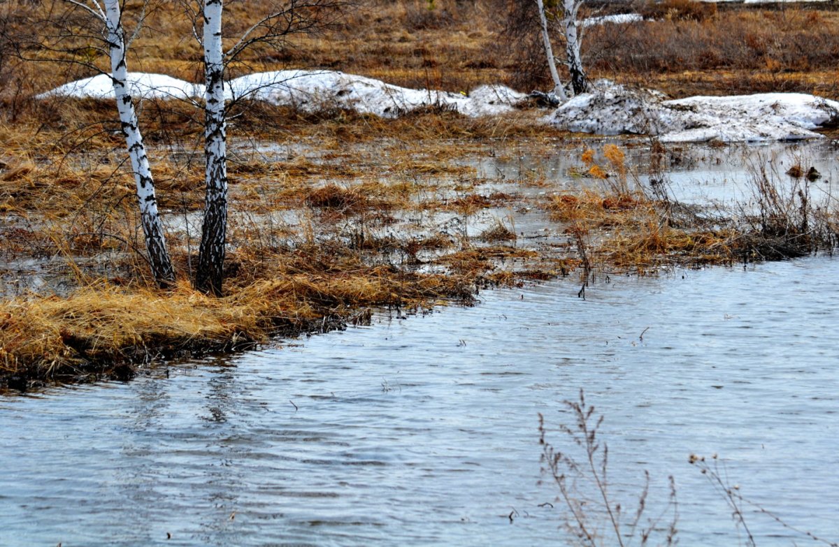 Весна половодье