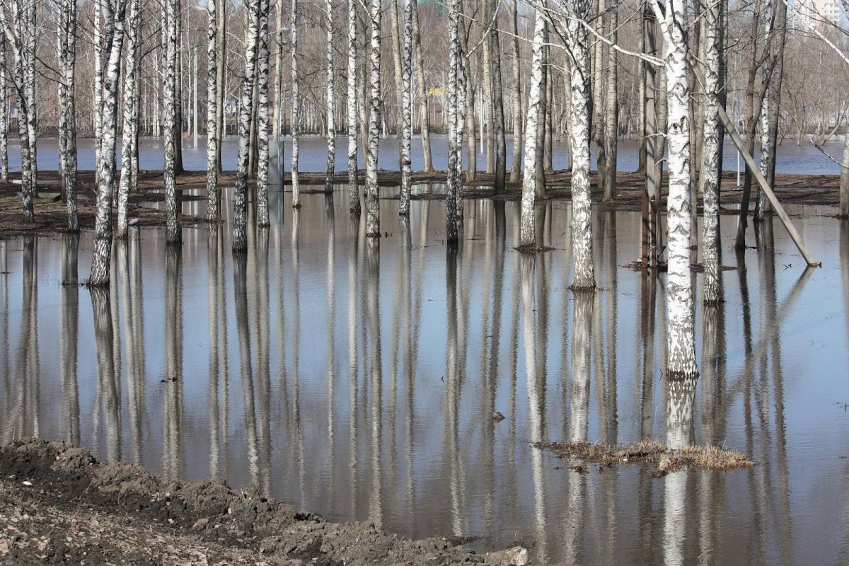 Половодье Яна