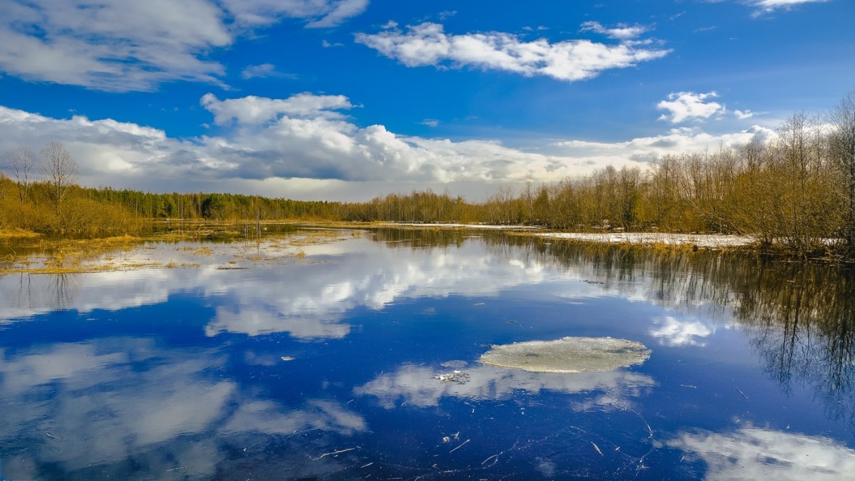 Весеннее половодье