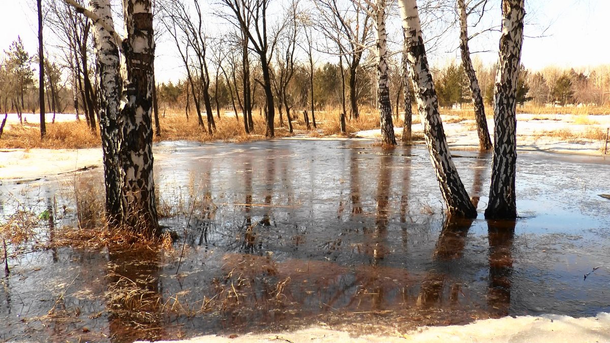 Апрель природа